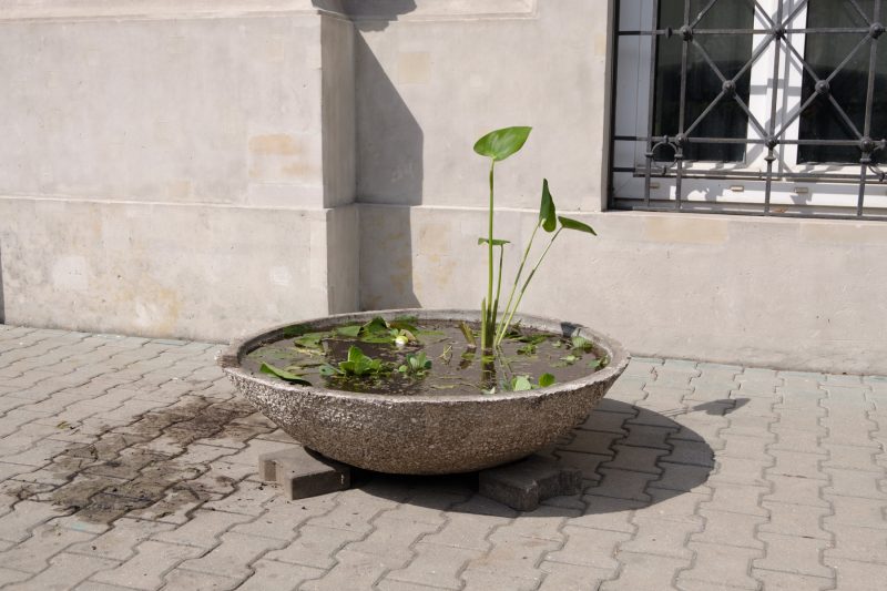 Aquatic Plant Pot