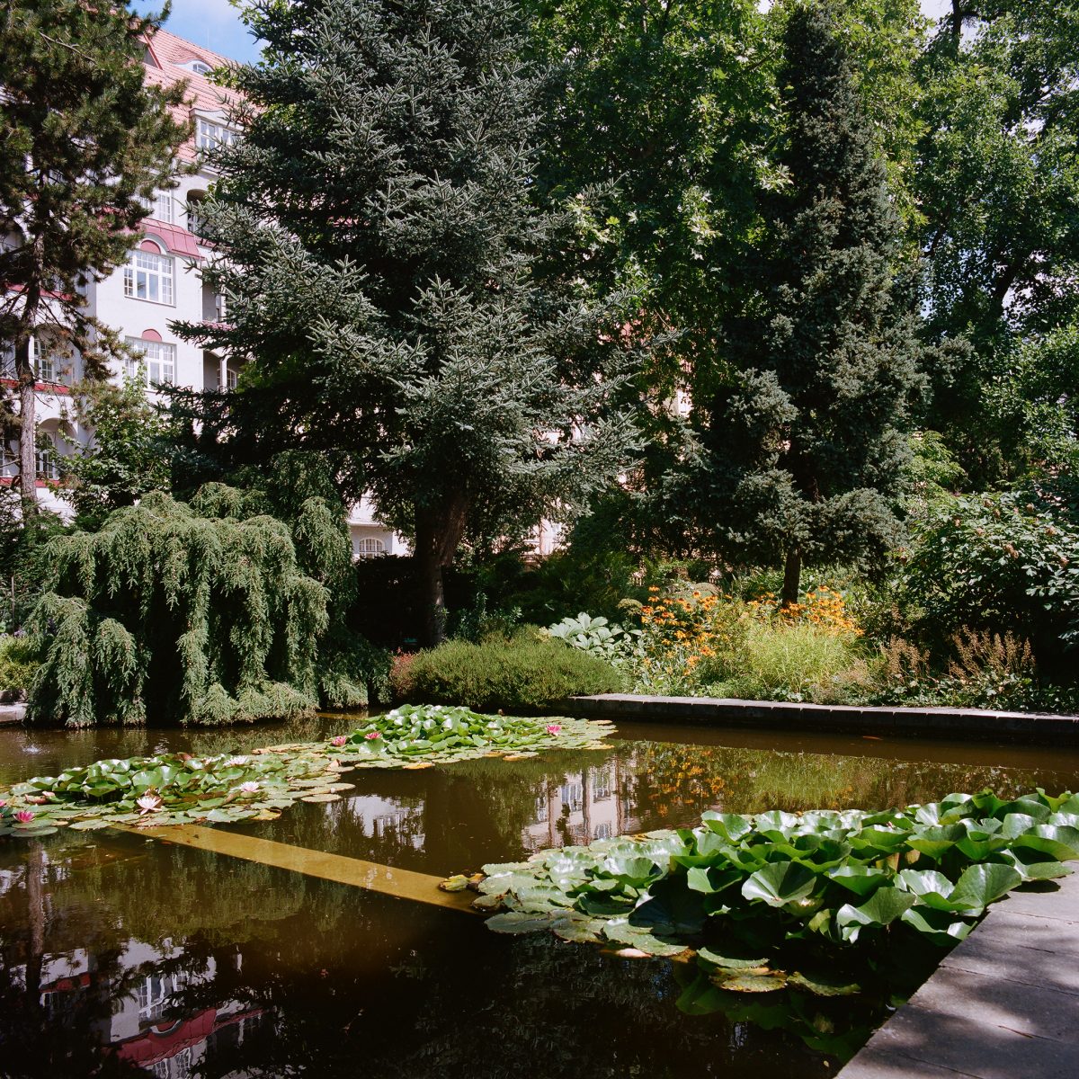 Botanical Garden in Brno, Czech Republic. Photo Simone De Iacobis, 2021