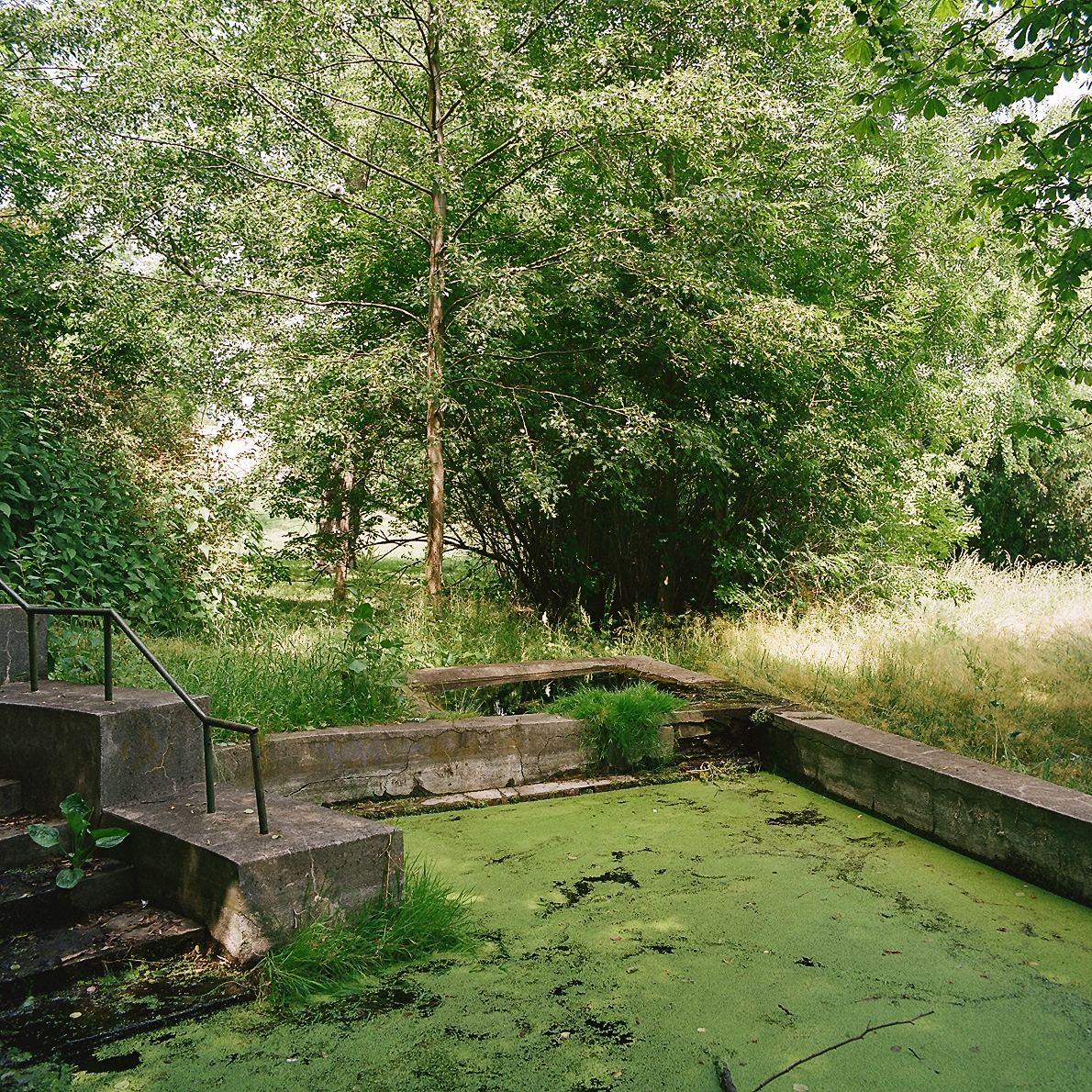 The setting of an active spring in Casimir Park, created before 1908, probably as an aquatic plant quarter in University of Warsaw first botanical garden. Water testing, renovation of the neglected architecture and replanting with aquatic plants is needed.