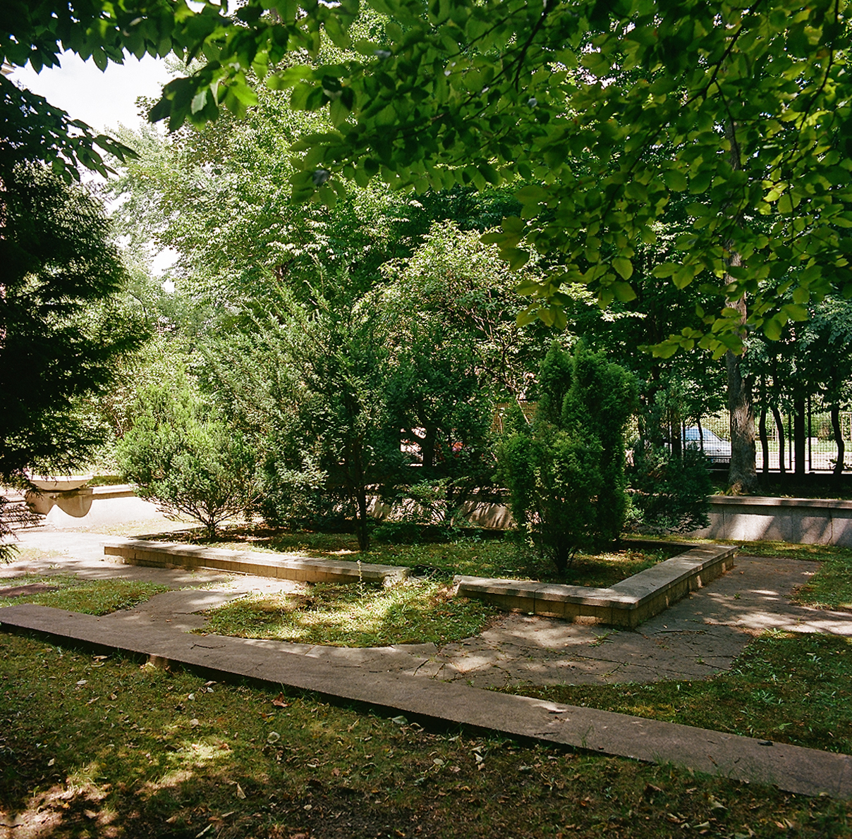 The pool in the garden of the Radium Institute, inaugurated by Maria Skłodowska-Curie in 1925 on Wawelska Street in Warsaw. The pond needs to be emptied, repaired, the stylised with features of the small architecture and replanted with aquatic plants.