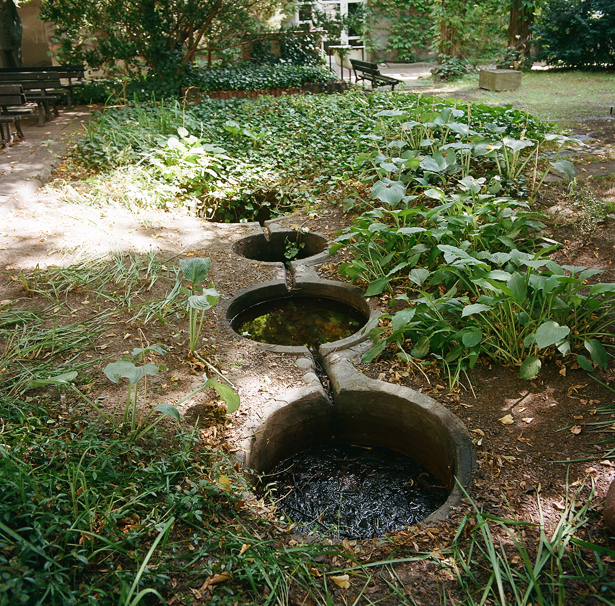 Hydrobotanical teaching apparatus from 1963 in the courtyard of the Faculty of Architecture, Warsaw University of Technology, 55 Koszykowa Street, Warsaw. The pond requires minor repairs and replanting.