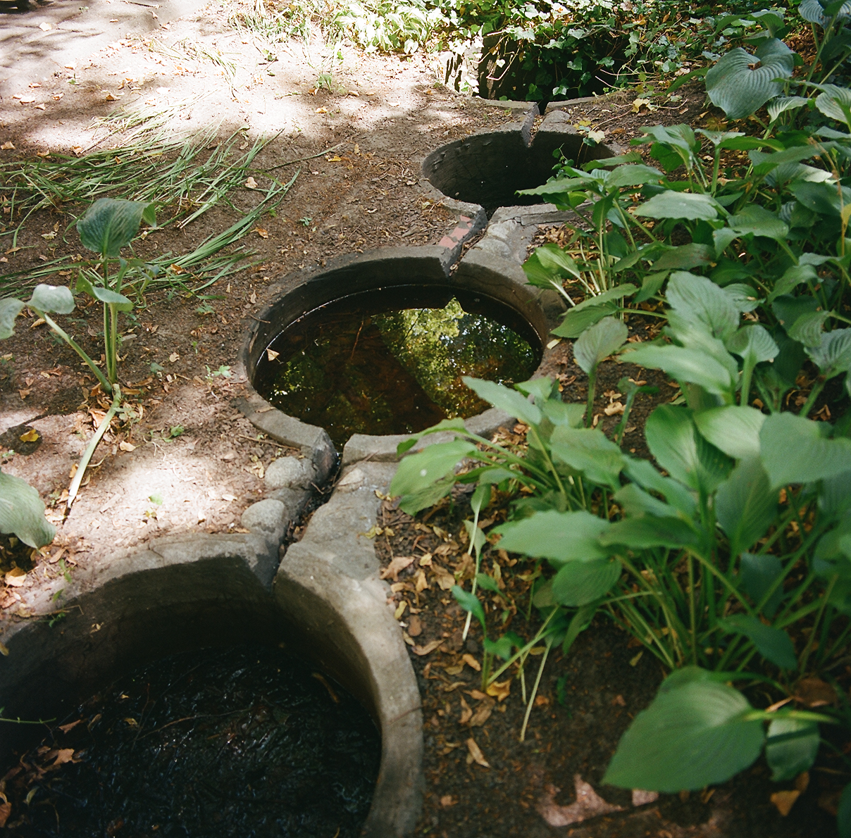 Hydrobotanical teaching apparatus from 1963 in the courtyard of the Faculty of Architecture, Warsaw University of Technology, 55 Koszykowa Street, Warsaw. The pond requires minor repairs and replanting.