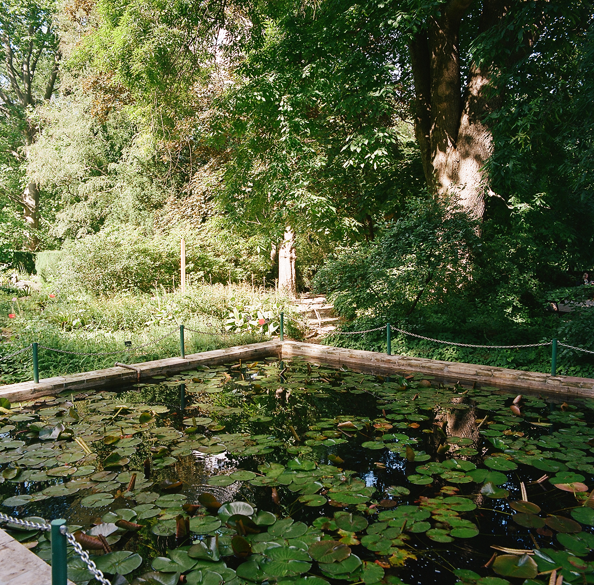 Ogrody waflowe z lat 30. XX wieku w Ogrodzie Botanicznym Uniwersytetu Warszawskiego w Alejach Ujazdowskich, zabytkowe baseniki na warszawską kolekcję roślin wodnych. Stan obiektu bardzo dobry.