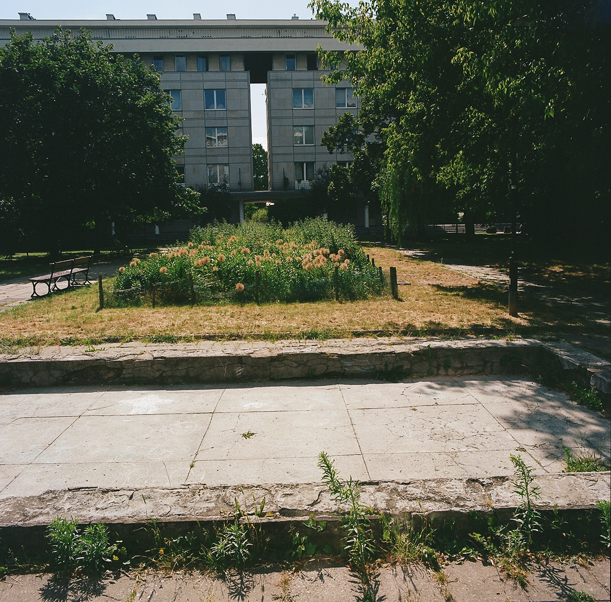 Swimming pool in Mieczyslaw Fogg Square. Needs renovation and replanting. Neighbourhood residents favour a natural pond, do not want a fountain.
