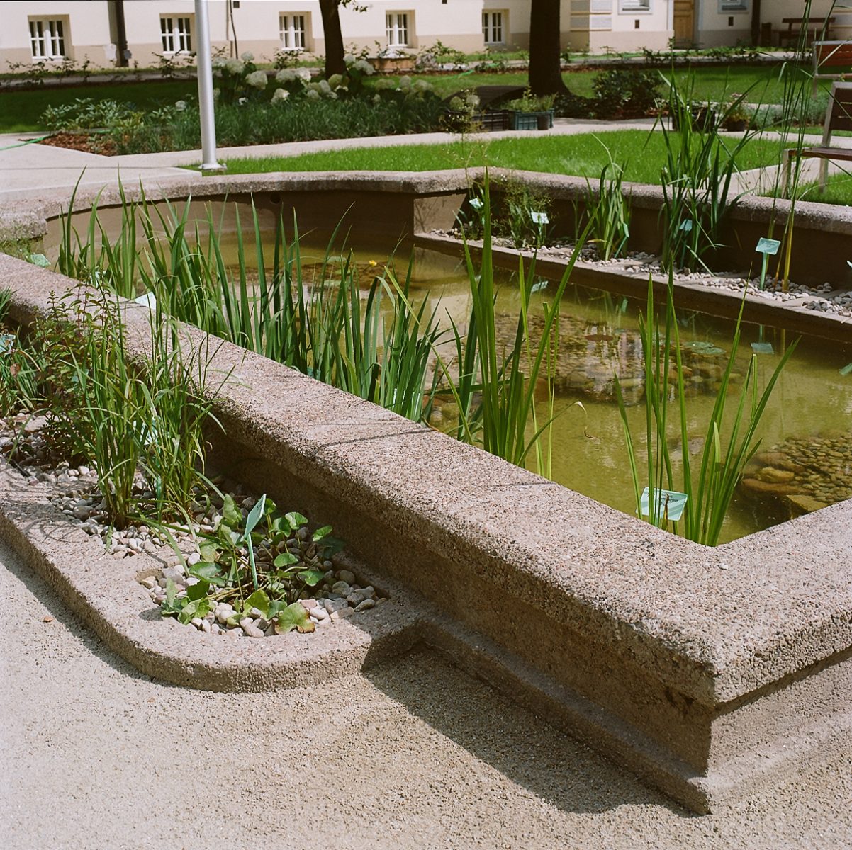 A didactic pond on the grounds of Stefan Batory Secondary School No. 2, refurbished in 2019-20. Allows for hydrobotany lessons and achieving gardening accomplishments.