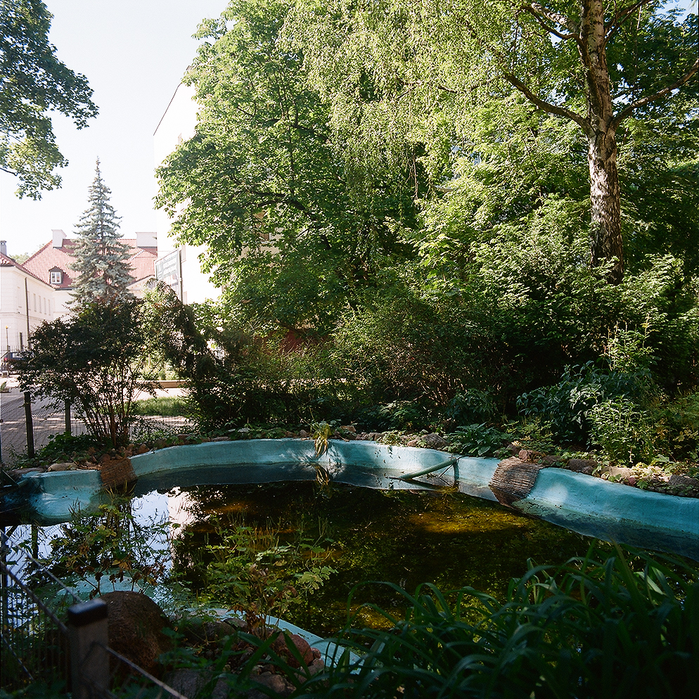 A pond in the Housing Cooperative "Oświata" estate on Długa Street in Warsaw dating to 1965. It needs cleaning, replanting with aquatic plants and filling with lake water. Attention is drawn to the details placed by residents to help animals use the water. 