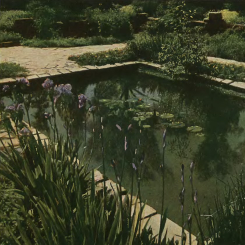 The pool in the garden of the Radium Institute. Arkady magazine 1935 no. 3, p. 6.