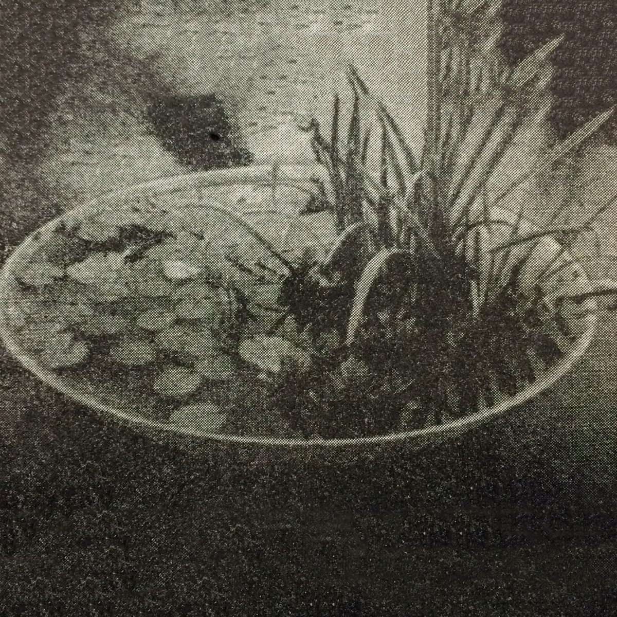 Aquatic plant pot. Witold Szolginia, Aesthetics of the City, Arkady, Warsaw 1981; illustration: Archive of the Institute of Urban Planning and Architecture [background modified].