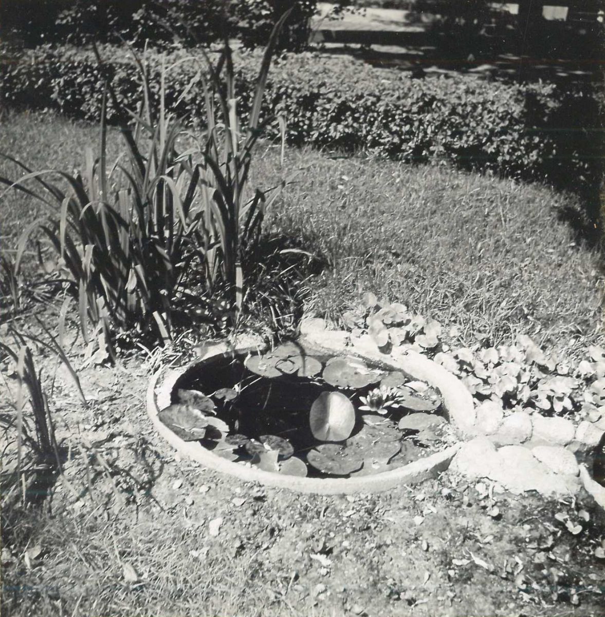 Didactic Gardens, photo by S. Czajkowski, before 1968, WAPW archives. We would like to thank dr inż. arch. Kinga Zinowiec-Cieplik.